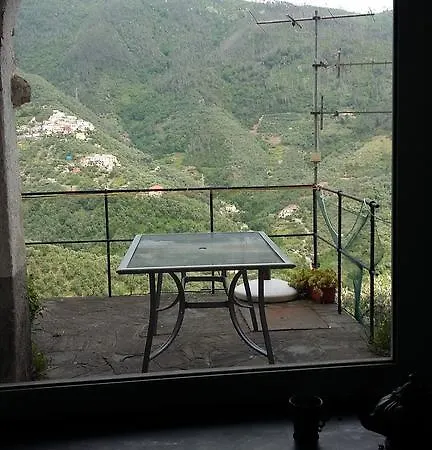 Ulivo Verde