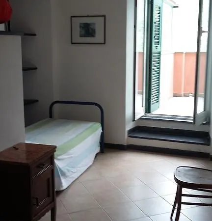 Ulivo Verde *